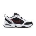 Кроссовки мужские Nike Air Monarch 415445-101